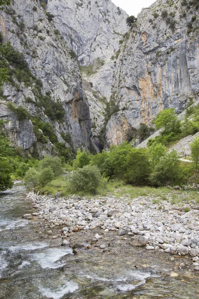 Dağlardan akan nehir