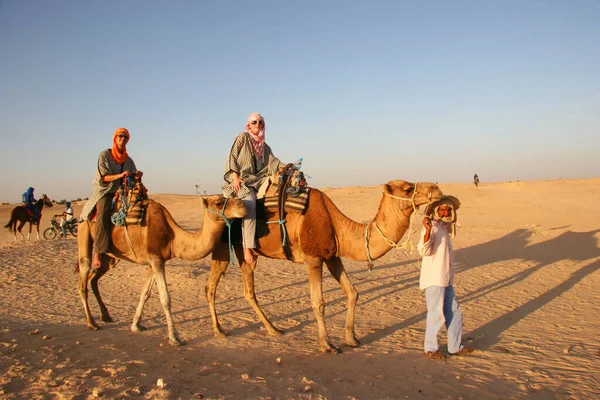 Carovana Con Turisti Cammelli Nel Deserto — Foto Stock