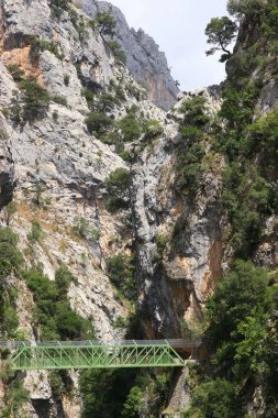 Dağlardaki dağ nehri manzarası