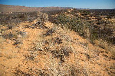 Çölün güzel manzarası
