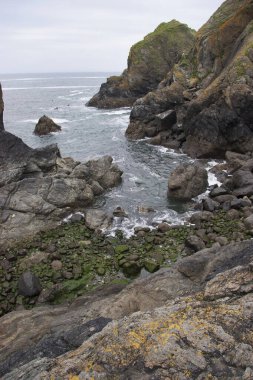 Deniz kıyısının güzel manzarası 