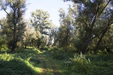 Doğanın güzel manzarası