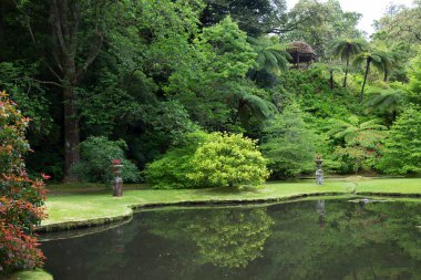 Parktaki güzel bahçe.