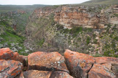Dağların güzel manzarası