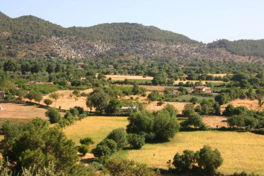 Doğanın güzel manzarası