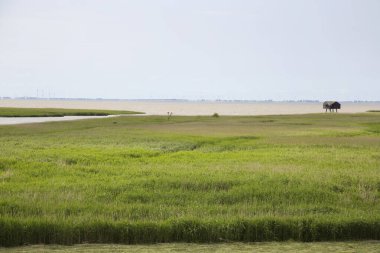 Kırsal manzarası çok güzel.  
