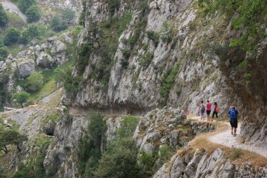 Grup dağlarda hiking yürüyüşçü