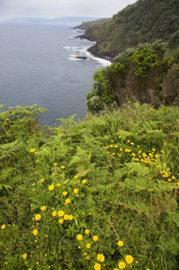 Güzel deniz manzarası