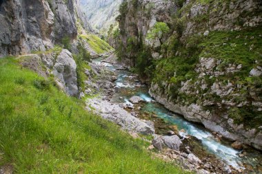 Dağ nehrinin güzel manzarası