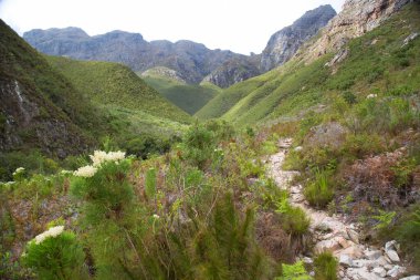Dağları ve mavi gökyüzü olan güzel bir manzara. 