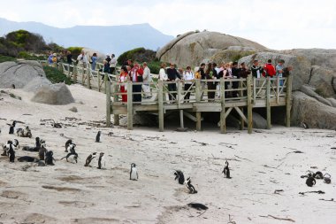 Sahilde turist sürüsü