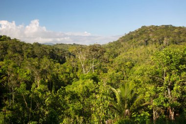 Tropik yeşillik ve güzel dağ manzarası.