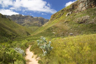 Dağları ve mavi gökyüzü olan güzel bir manzara. 