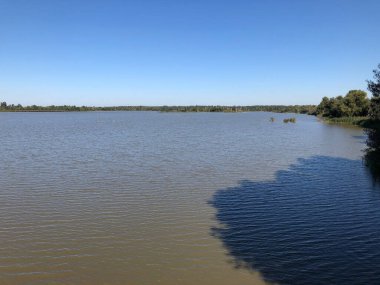 Yazın güzel göl manzarası