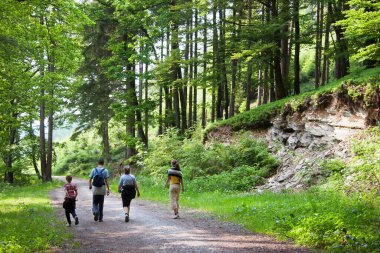 Bilinmeyen turist grubu parkta yürüyor