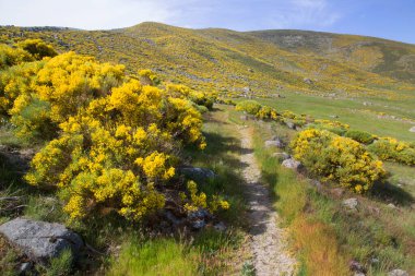 Dağların güzel manzarası. 