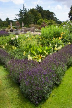 Güzel taze çiçekler Doğal manzara