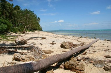 Tropikal plajın güzel manzarası