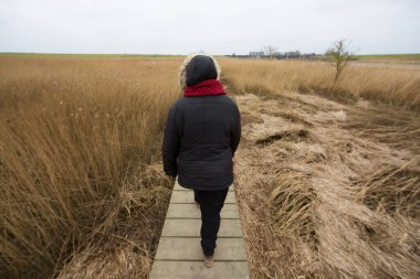 Tarlada uzun otlarla ahşap yol