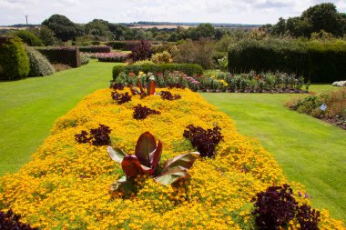 Parkın güzel manzarası