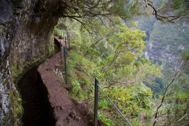 Ormandaki güzel yol manzarası