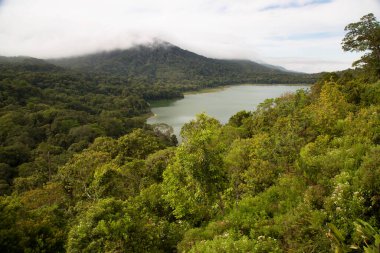 Panoramik krater gölü çevresindeki tepeler yoğun yağmur ormanlarıyla kaplı.