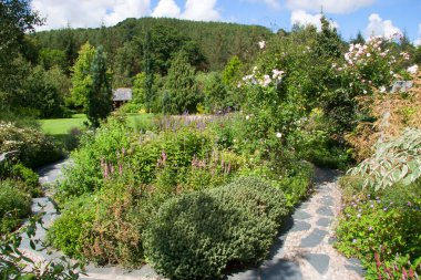 Yaz bahçesinde yetişen güzel çiçekler..