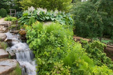 Yazın güzel bir bahçe