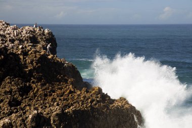 Keskin kayalar, dik uçurumlar, düşük büyüyen çalılıklar ve gizli kumsal parçaları ile kıyı boyunca uzanan engebeli doğa bölgesi, yüksek dalgalar kıyı boyunca kırdıyor ve sıçrıyor.