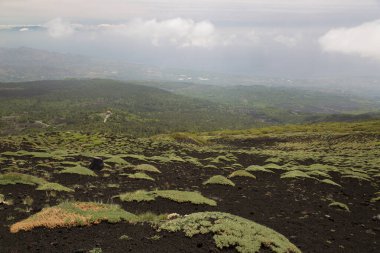Etna Dağı 'nın krater kenarı lav tarlaları ve dik yamaçlar. Çakıl taşlarıyla kaplı. Güçlü öncü bitkiler tarafından büyütülmüş.