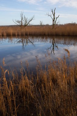 Güzel sonbahar sahnesi, nehir manzarası.