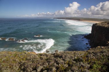 Deniz kıyısının güzel manzarası