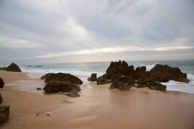 Sahilin güzel manzarası