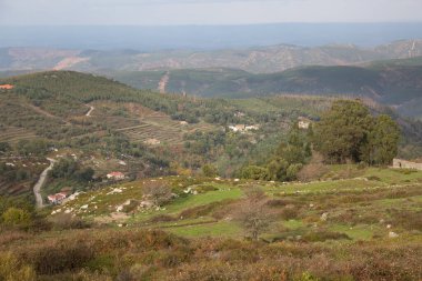 Yazın dağların manzarası
