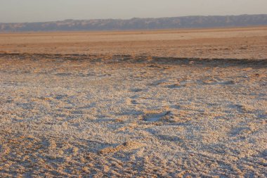 Chott el Djerid Güney Tunus 'ta büyük bir tuz gölüdür.