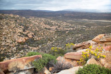 Dağların güzel manzarası
