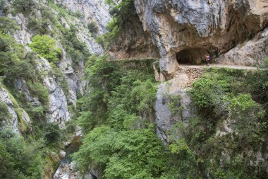 Yazın dağların manzarası