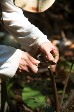 Adam ormandaki ağacı buduyor.