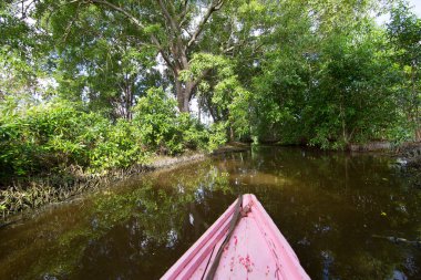 Ormandaki nehrin güzel manzarası