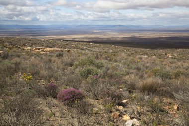 Güzel çöl manzarası