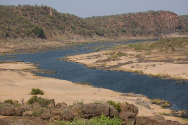 Nehir ve ağaçlarla birlikte manzara