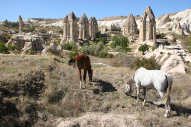 Kapadokya Türkiye 'nin ünlü antik kaya evleri