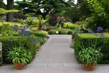 Güzel çiçekler ve bitkilerle dolu park