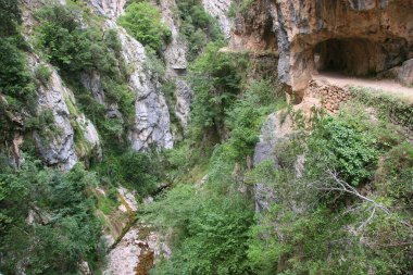 Dağlardaki doğal nehir manzarası