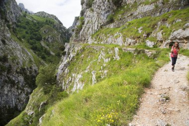 Kuzey İspanya 'da oyulmuş bir yürüyüş yolu ile dar ve sarp bir vadi boyunca iyi bilinen bir yürüyüş rotasındaki dağ yürüyüşçüleri..