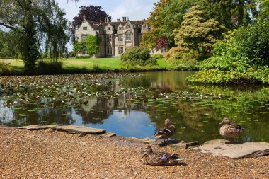 Güzel ortaçağ malikanesinin manzarası