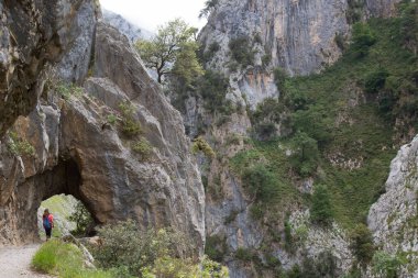 Dağlarda yürüyüş yapan bir kadın.