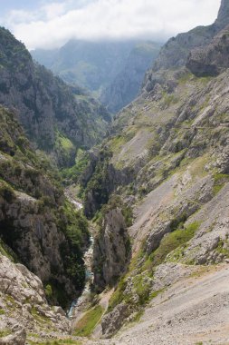 Gaztelugatxe, Bask Bölgesi 'nin Bermeo belediyesine bağlı Biscay kıyısında bir adadır.. 