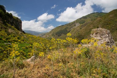 Dağların güzel manzarası