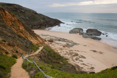 Pessegueiro Kalesi, Portekiz 'in güneyindeki Alentejo eyaletinin Sines belediyesinin Porto Covo ilçesine bağlı bir kaledir.